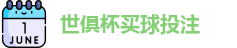 足球世界俱乐部杯2025